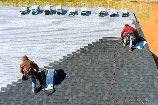 Best Roof Ventilation Installation  in Encinal, TX